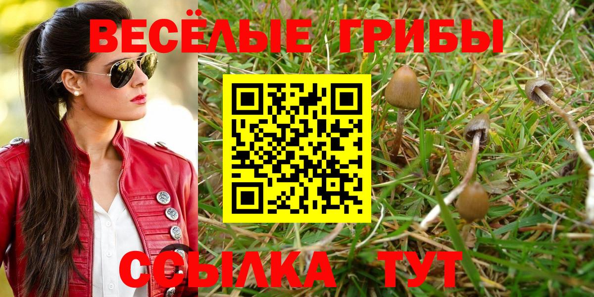 Псилоцибиновые грибы прущие грибы Фролово