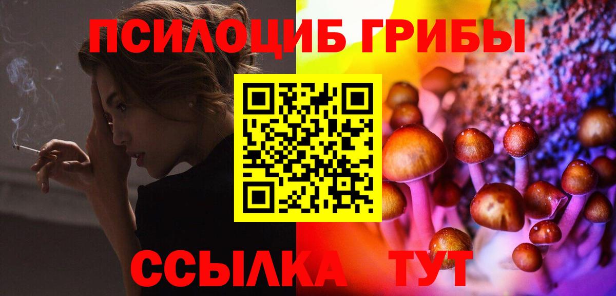 Фролово  Галлюциногенные грибы Cubensis  Вход с VPN  Псилоцибиновые грибы мицелий 